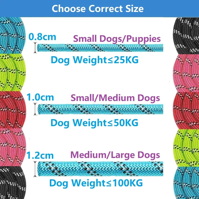 Strong Reinforced Dog Leash (120-300CM)