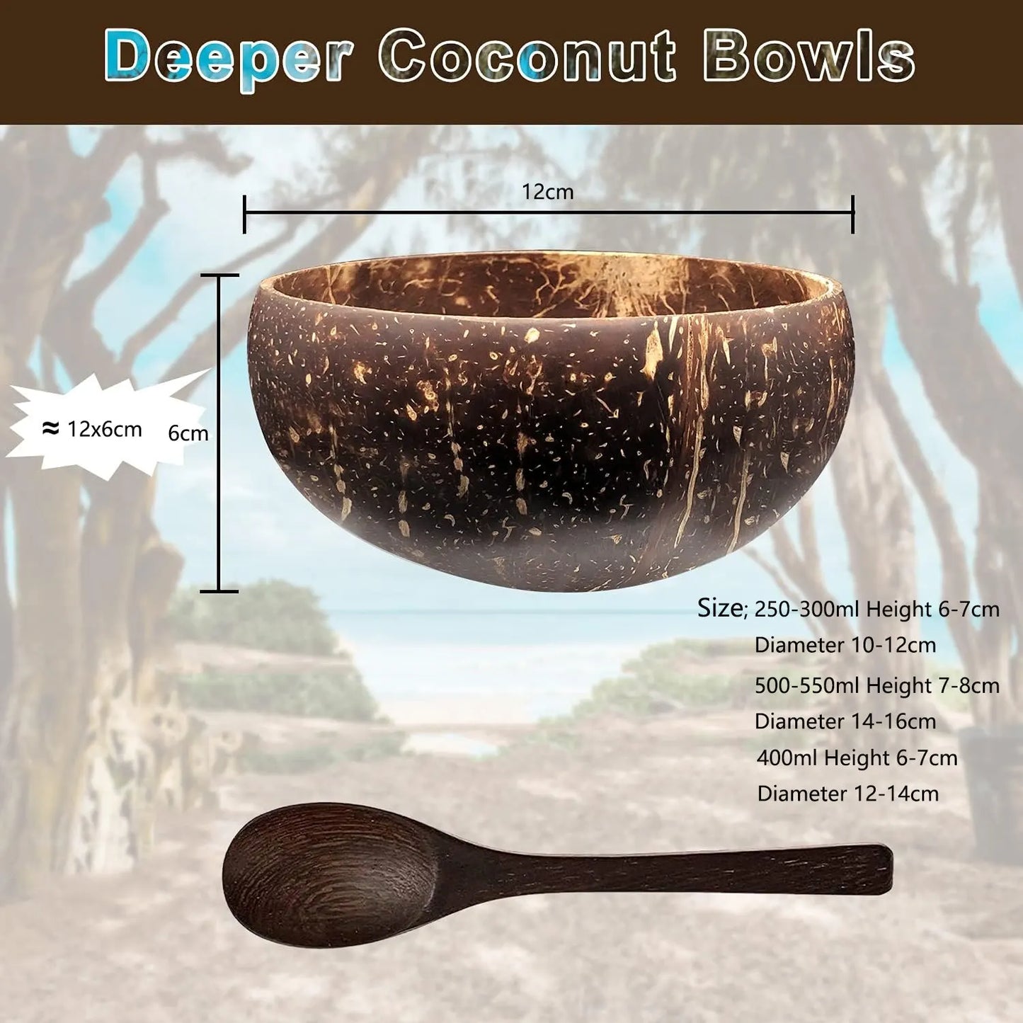 Natural Coconut Shell Serving Bowls